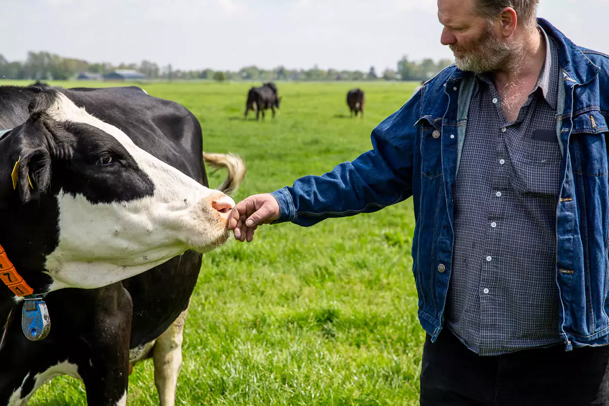 Vlees kopen bij de boer | Grutto